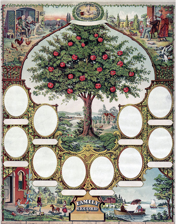 Family tree page with cutouts for family members portraits. Background shows tree with red apples and family scenes